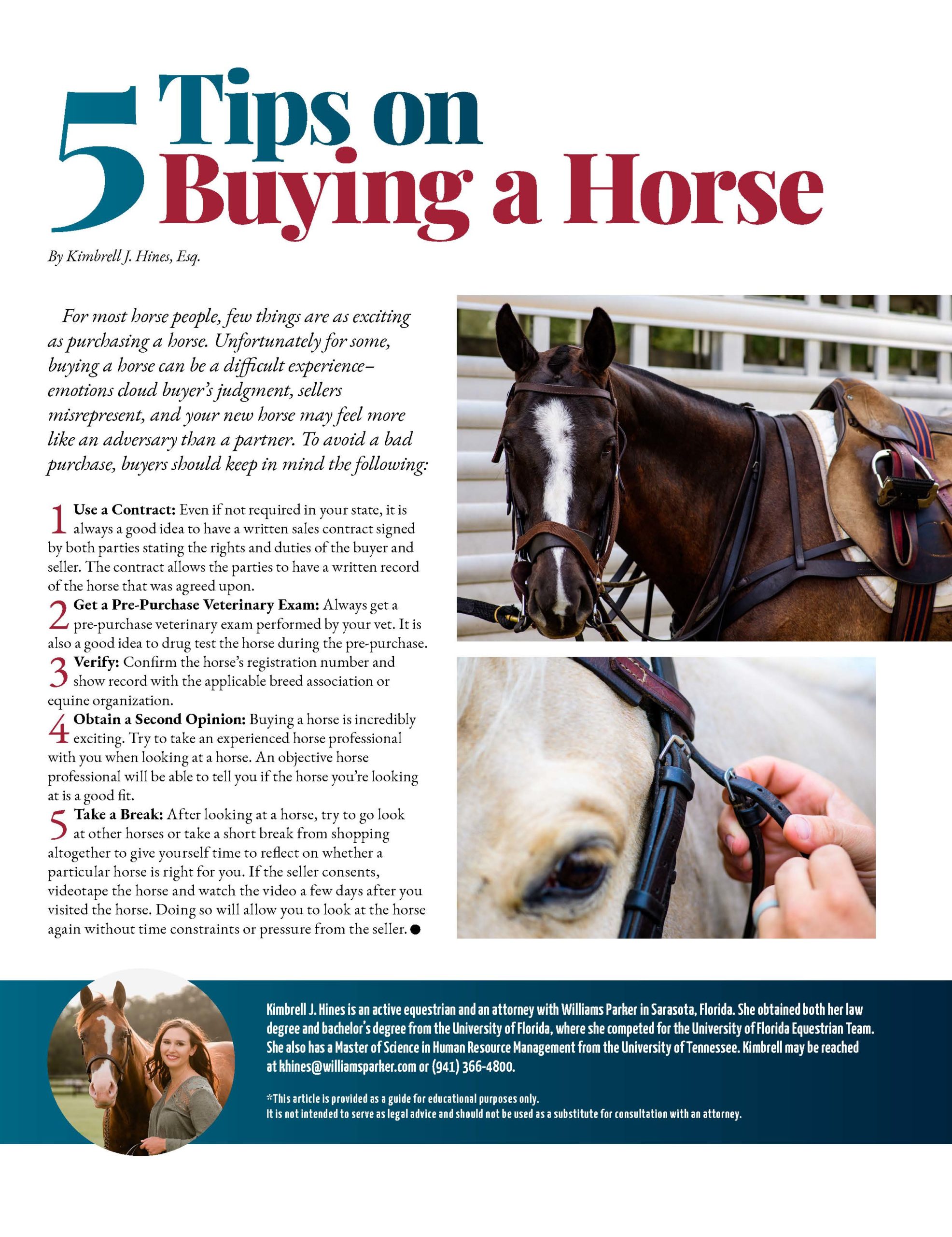 5 Tips on Buying a Horse – Williams Parker Attorneys at Law